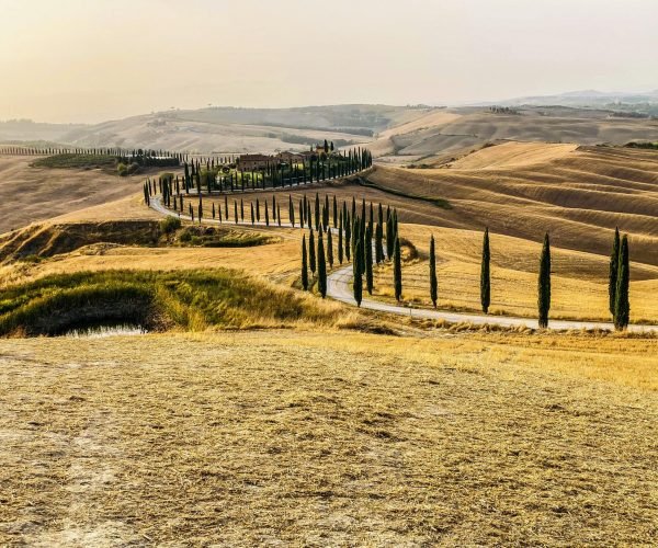 pexels-photo-18676582-18676582 A scenic road winds through Tuscany's golden fields and cypress trees at sunset.