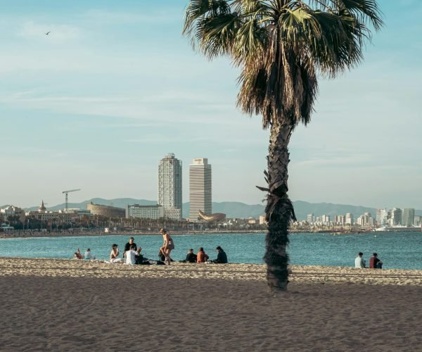 pexels-photo-27530573-27530573 Scenic view of Barcelona's beach with a palm tree and urban skyline, perfect for a summer vacation vibe.