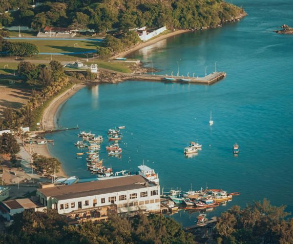 Scenic aerial view of a coastal harbor with boats, lush greenery, and urban cityscape in the background.
